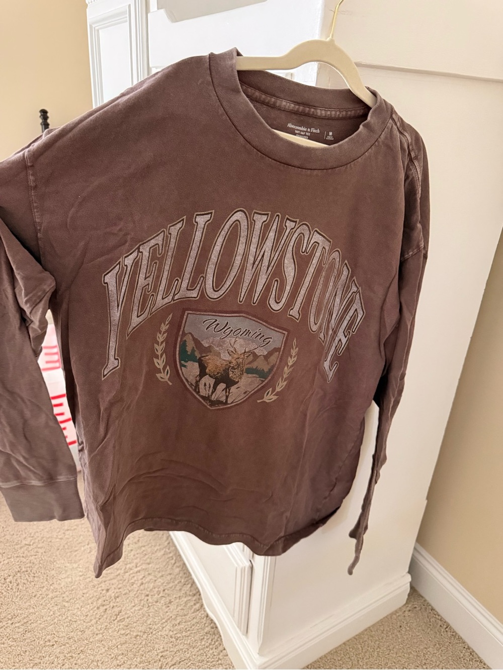 Abercrombie & Fitch Yellowstone Wyoming Tee Shirt
